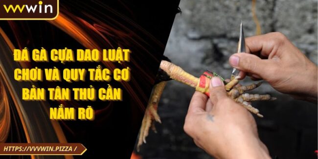 Đá Gà Cựa Dao Luật Chơi Và Quy Tắc Cơ Bản Tân Thủ Cần Nắm Rõ